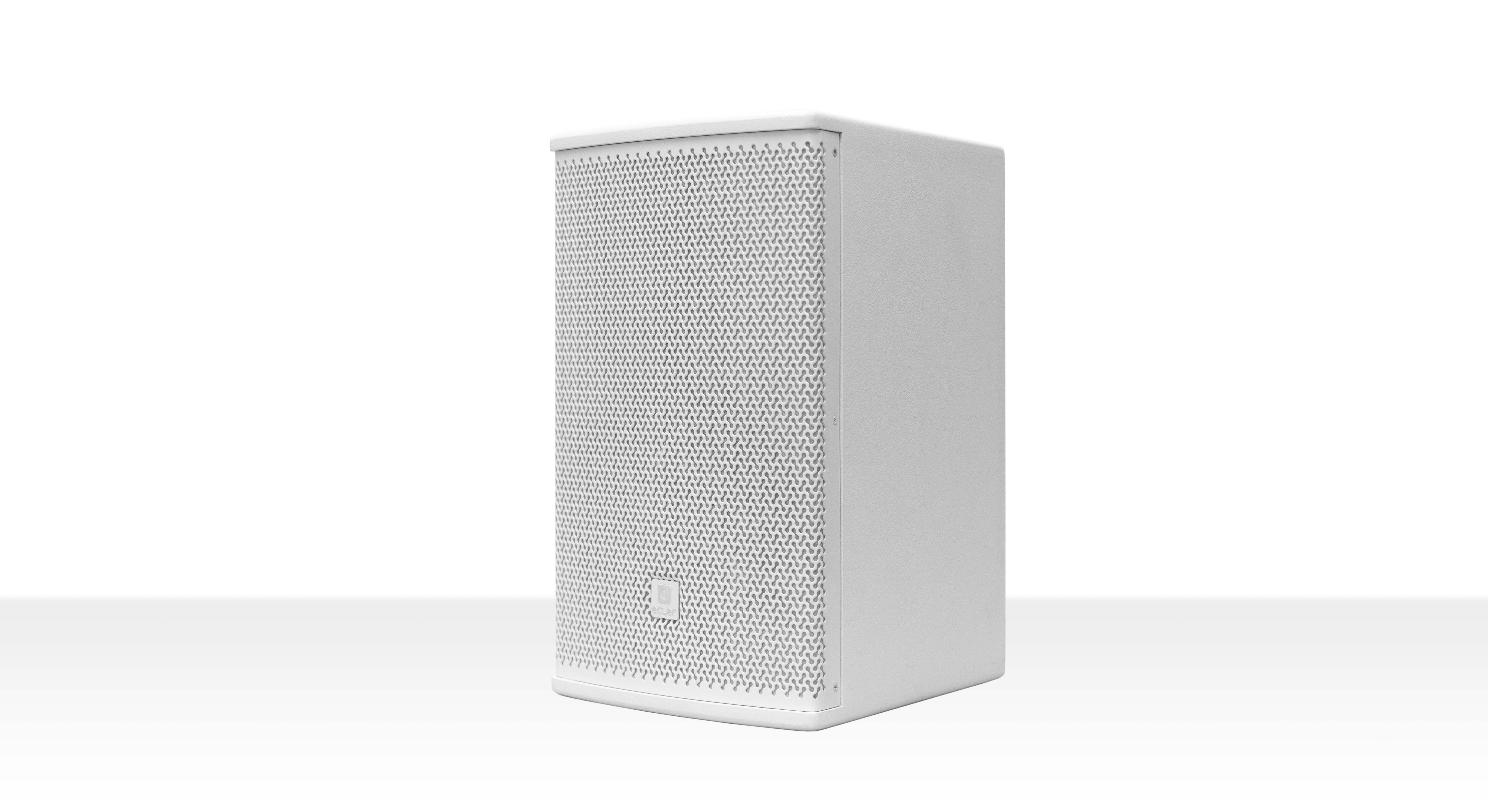ARQIS 108iBK wall-mounted speaker bw