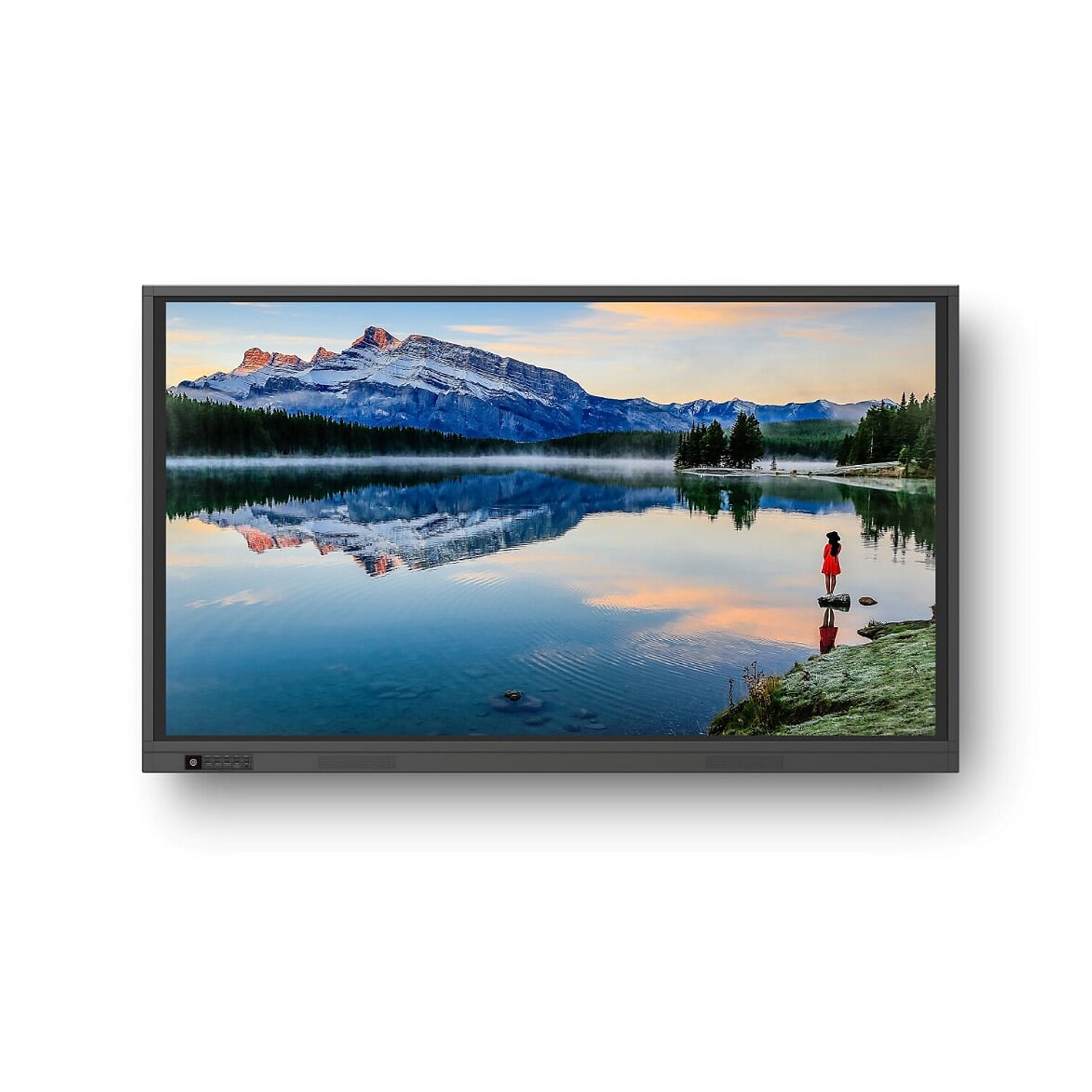 Newline Display TT-8619RS+